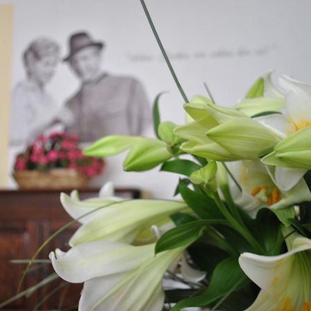 Hotel Mariandl Spitz an der Donau Ngoại thất bức ảnh