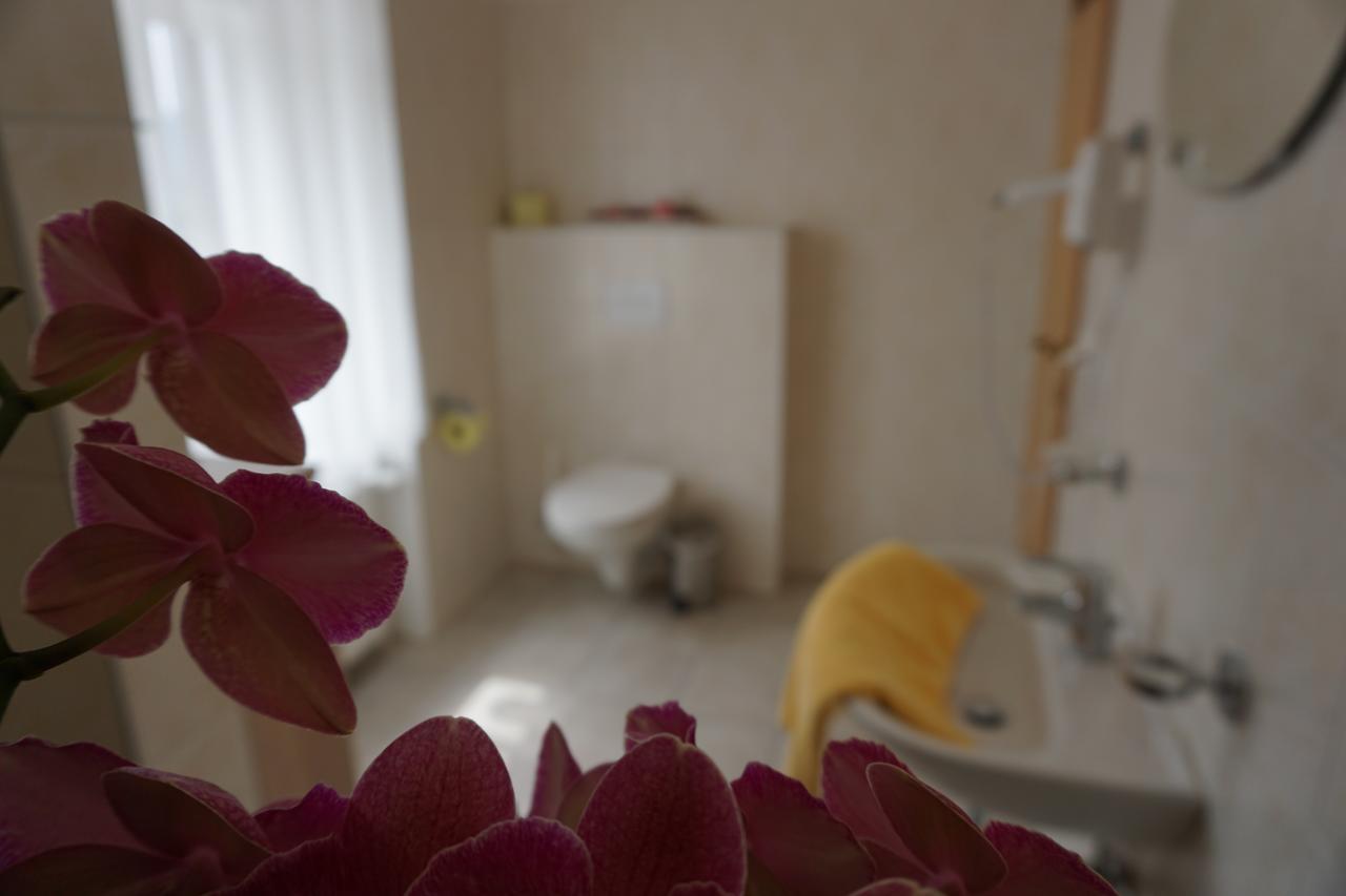Hotel Mariandl Spitz an der Donau Ngoại thất bức ảnh